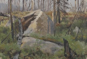Bosque muerto en Canadá de Richard Friese